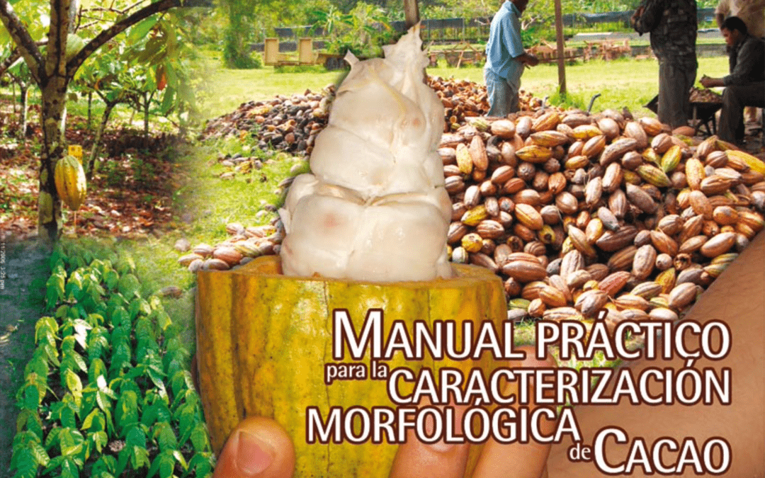 Manual práctico para la Caracterización Morfológica de Cacao en Venezuela